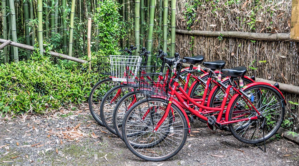 Cycling Through Kyoto: Exploring Hidden Alleys and Landmarks